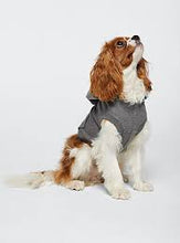 Load image into Gallery viewer, Money Dogs Doggie Hoodie