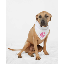 Load image into Gallery viewer, Money Dogs Doggie Bandana
